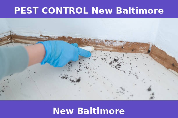 PEST CONTROL New Baltimore
